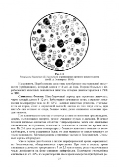 Латыпов, Волков, Тимербаева: Паразитология и инвазионные болезни животных. Том 2