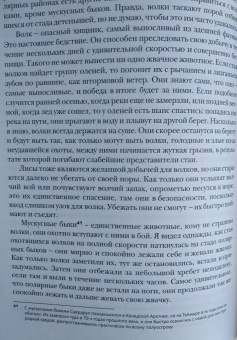 Отто Свердруп: Под русским флагом