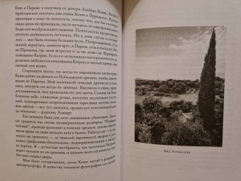 Патти Смит: Преданность. Год обезьяны