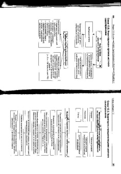 Петр Глущенко: Конституционное право России:  Учебное пособие