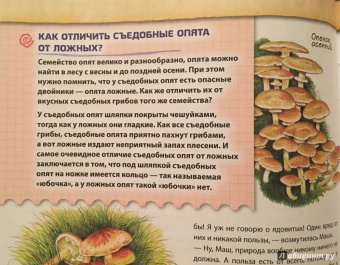 Валентина Мальцева: Открываем тайны леса