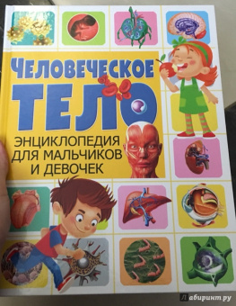 Человеческое тело. Энциклопедия для мальчиков и девочек