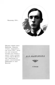 Брайан Бойд: Владимир Набоков. Русские годы