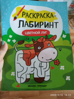 Цветной луг. Книжка-раскраска