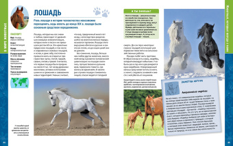 Пратези, Пратези: В мире животных. Энциклопедия