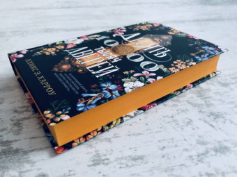 Аликс Харроу: Десять тысяч дверей