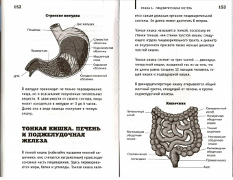 Андрей Шляхов: Анатомия на пальцах
