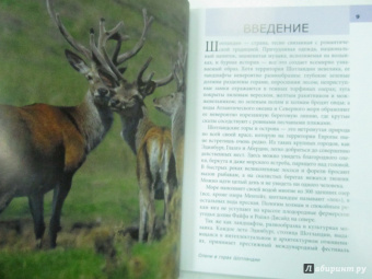 Феллоуз, Уэстон: Шотландия. Путеводитель