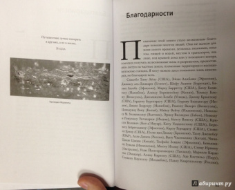 Владимир Динец: Песни драконов. Любовь и приключения в мире крокодилов и прочих динозавровых родственников