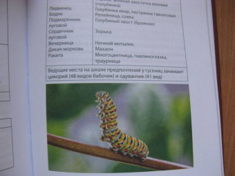 Зегерер, Розенкранц: Великая гибель насекомых. Что это значит и что нам с этим делать