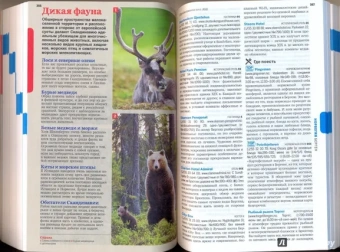 Саймингтон, Бэйн, Бонетто: Скандинавия:  Финляндия, Норвегия, Швеция, Дания, Исландия
