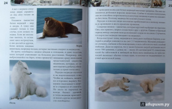 Ярослава Соколова: Хочу знать. Медведи