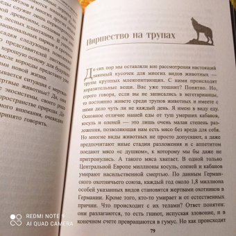 Петер Воллебен: Тайные связи в природе