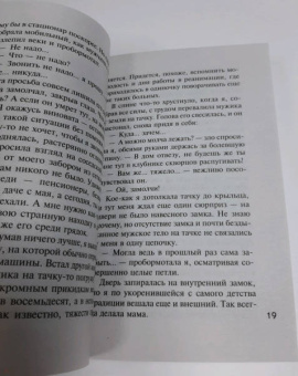 Устинова, Литвинова, Литвинов: Детектив-пикник