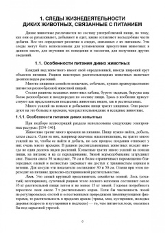 Анатолий Суворов: Основы полевых наблюдений. Следы жизнедеятельности зверей и птиц. Учебник для СПО