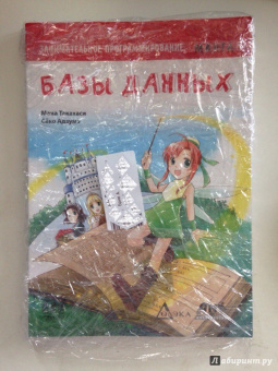 Манна Такахаши: Занимательное программирование. Базы данных