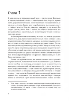 Яо Лу: Обыкновенный мир