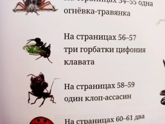 Лина Реншлебротен: Животные невидимки. Чудеса маскировки в дикой природе