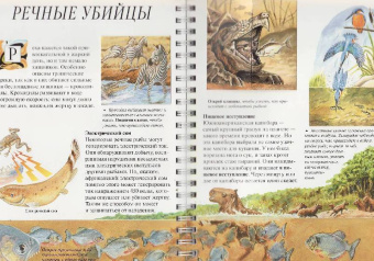 Джон Вудвард: Дискавери:  Акулы и другие хищники
