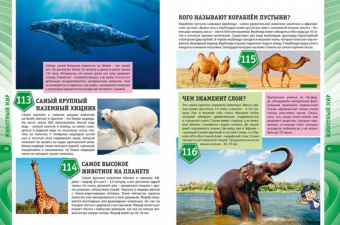 Тамара Скиба: Современная энциклопедия для детей. Что? Как? Почему? Зачем?