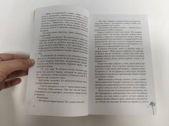 Алекс Анжело: Сон и Пепел. Оформление Люция