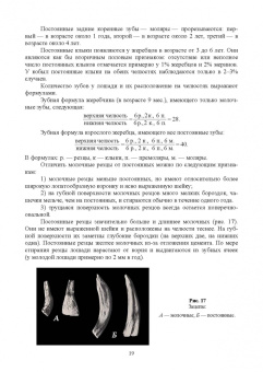 Демин, Хотов: Основы коневодства. Практикум. Учебное пособие для СПО