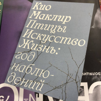 Кио Маклир: Птицы, искусство, жизнь. Год наблюдений