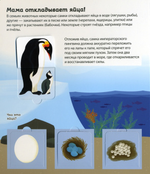 Зверята и их родители. Книга с секретными картинками