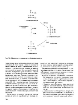 Авдеева, Алейникова, Андрианова: Биохимия. Учебник