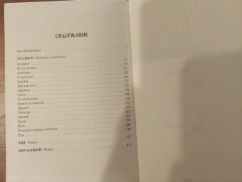 Евгений Замятин: Уездное. Мы. Бич Божий