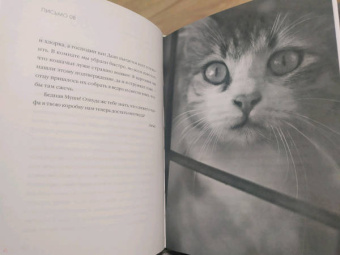 Кошки. Письма легендарных людей