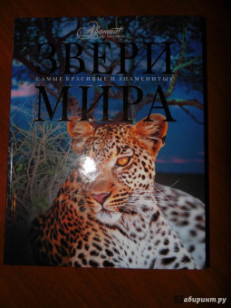 Звери мира