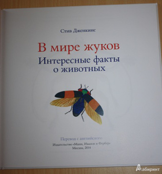 Стив Дженкинс: В мире жуков. Интересные факты о животных