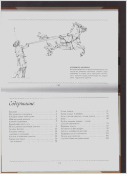 Рисуем лошадей. Альбом для скетчинга