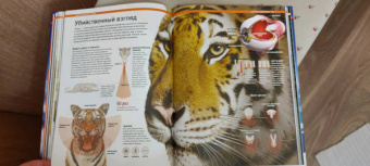 Малиция, Сориано, Фернандес: Тайны планеты Земля. Большая иллюстрированная энциклопедия