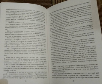 Таня Свон: Академия изгнания