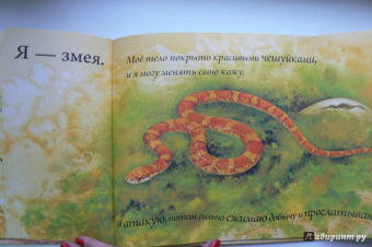 Кто спрятался?