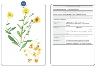 Сергунова, Бобкова, Потапова: Фармакогнозия. Блок 1. 59 карточек. Лекарственные растения и лекарственное растительное сырье