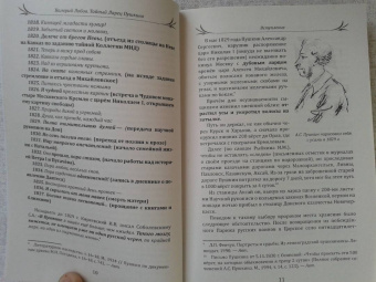 Валерий Лобов: Тайный ларец Пушкина. Учение Русского Пророка