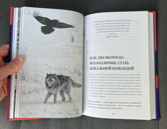 Элли Рэдингер: Сила волчьей стаи. Реальные истории из жизни диких хищников