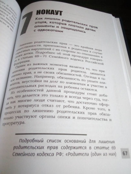 Андрей Дмитриев: 15 нокаутов в семейном праве
