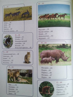 Людмила Соколова: Животный мир от А до Я
