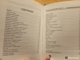 Хорхе Букай: Я хочу рассказать вам о...
