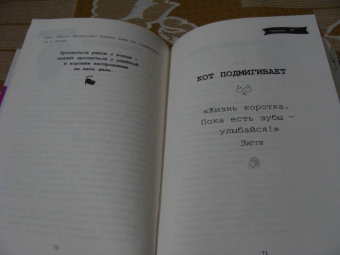 Стефан Гарнье: Думай как кот, действуй как кот