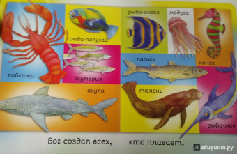 Bethan James: Бог создал меня