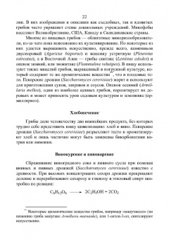Владимир Захарычев: Грибы и фунгициды. Учебное пособие для вузов