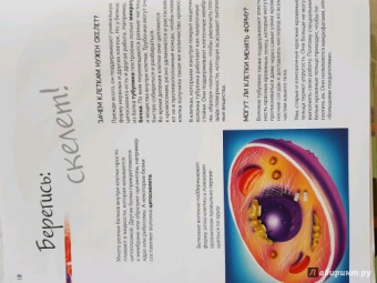 Боэрле, Ланда: Путешествие в мир клетки. Нескучная наука