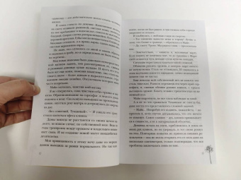 Алекс Анжело: Сон и Пепел. Оформление Люция