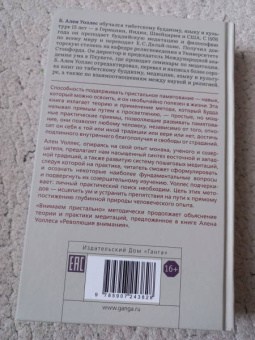 Ален Уоллес: Внимаем пристально. Четыре применения памятования
