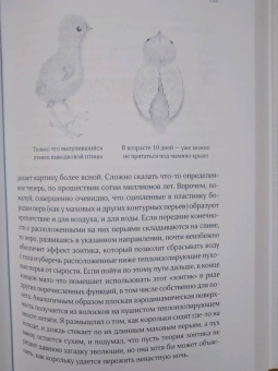 Бернд Хайнрих: Зима. Секреты выживания растений и животных в самое суровое время года